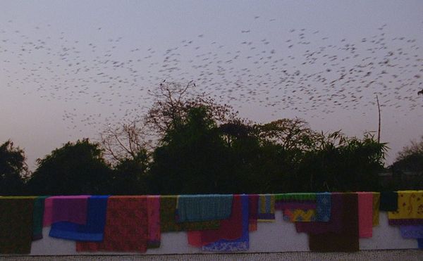 Exclusive Look at the New York Film Festival's Annual Showcase of Innovative Film, Projections