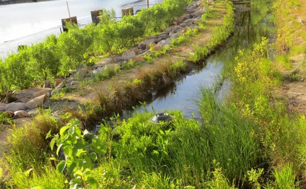 Urban Ecological Consciousness at Wave Hill