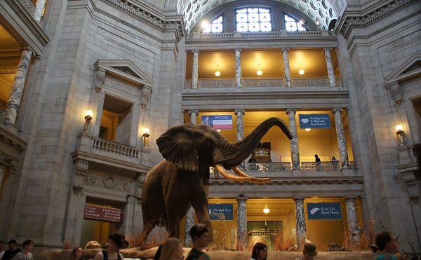 1,400 US Museums to Offer Free Admission on September 22