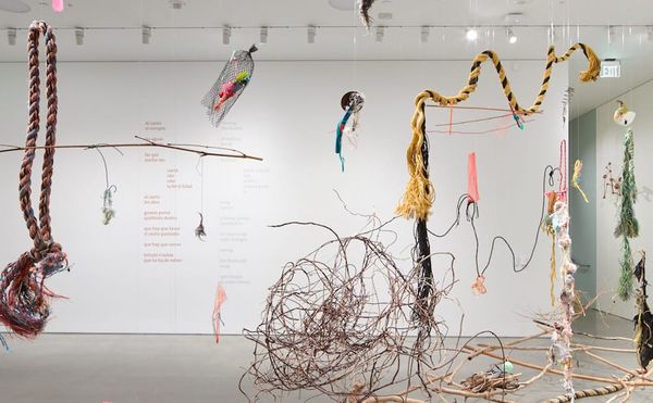 The Dazzling and Dooming Art of Cecilia Vicuña