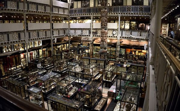 A Treasure Trove of Oddities and Timely Exhibitions at Oxford's Ethnography Museum