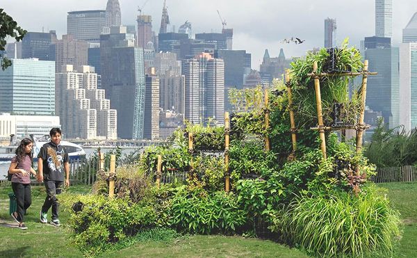 Birds Can Now Nest in a Living Sculpture in Brooklyn