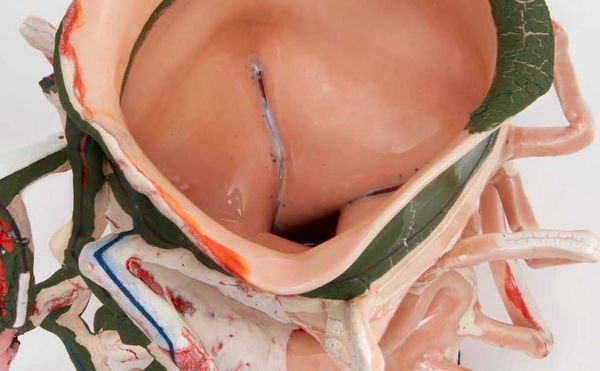 The Making of an American Original