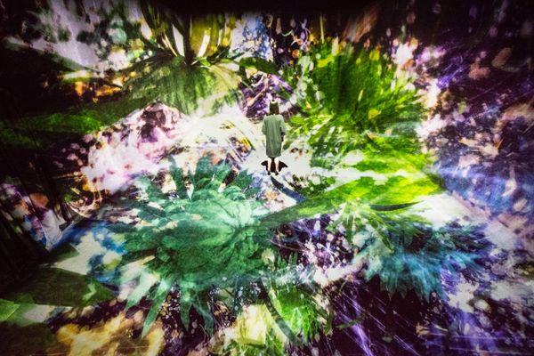 Rethinking the Laws of Nature at Helsinki's New Amos Rex Museum