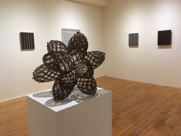 The Infinite Worlds Made from Pins