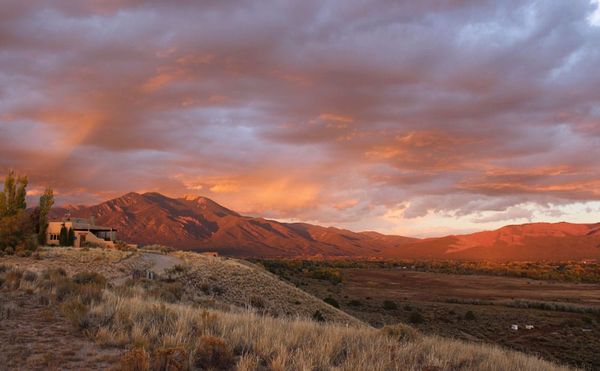 A New Book on Agnes Martin Reveals Her Previously Unknown Philanthropy