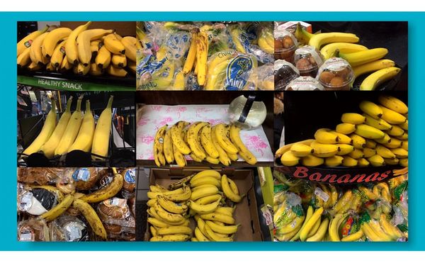 Cyclops, Bananas, and the Art World’s Race Problem