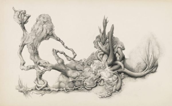 The Graphite Hallucinations of Gray Foy