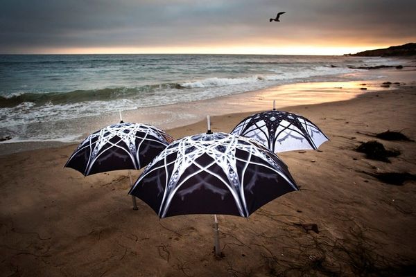 Shoreline Project by Elizabeth Turk.