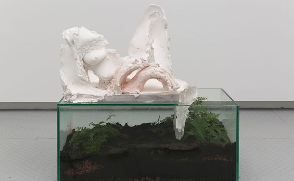 Approaching the Body Through Touch Instead of Vision