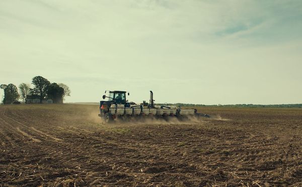 Frederick Wiseman Films the Humanity of a Midwestern Town in 2018