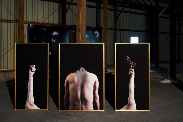 Peter Cochrane, Memento Vivere, 2018. Seen: triptych [archival pigment prints, gold leaf frames, 28”x58”(2) & 38”x58”]; is th