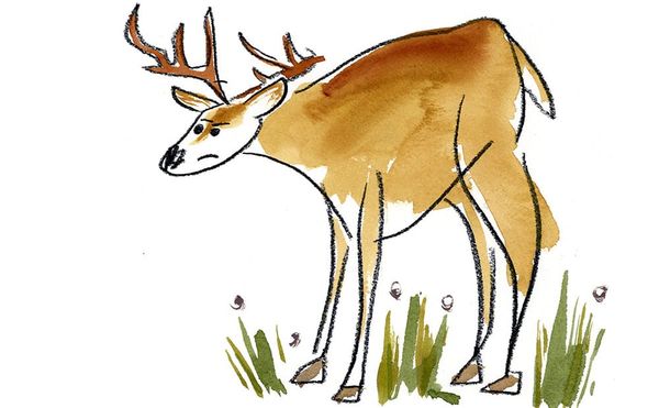 Learning to Hunt this Election Season