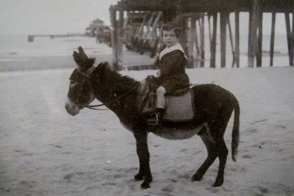 Applications Are Now Open for SVA's MFA Art Writing Program