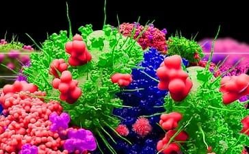 A 1920s Polish Play Is Reimagined for the California Desert