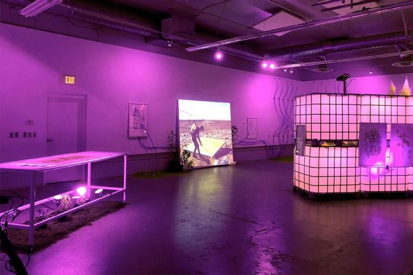 Explore the Chaos of the Visual World: A Call for Graduate Applications to the University at Buffalo