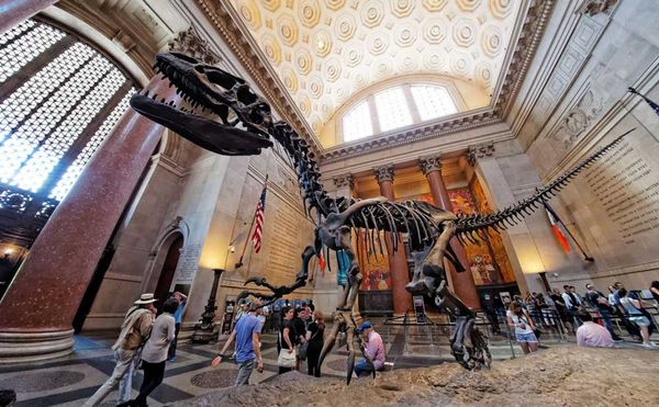 Judge Rules on Natural History Museum Expansion, Dismissing Community Lawsuit