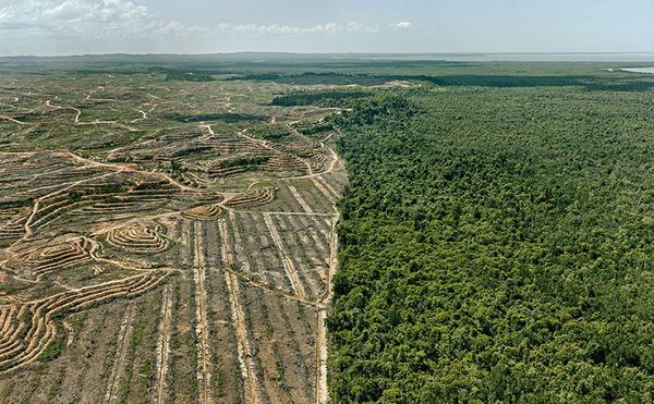 Aerial Photographs Convey Humanity's Devastating Effects on Nature