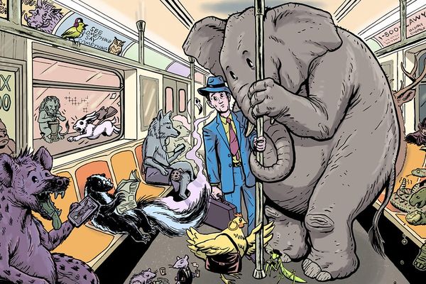 Classes Begin January 28 at the School of Visual Arts Division of Continuing Education