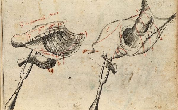 A Delectable Collection of Illustrated Gastronomy Books