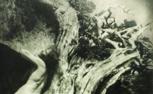 Anne Brigman’s Radical Nude Self-Portraits from the Early 1900s