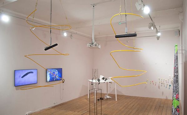 Artists Recognize the Benefits of a Parasite-Host Relationship