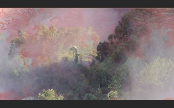 Dissolving the Boundaries of Asian American Fiction