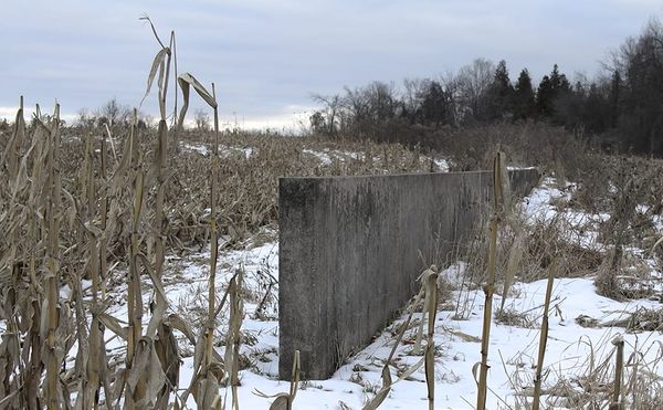 Discussing the Sculptures of Richard Serra with Hal Foster