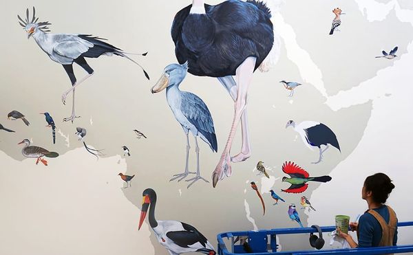 A Colossal Mural Chronicles 375 Million Years of Bird Evolution