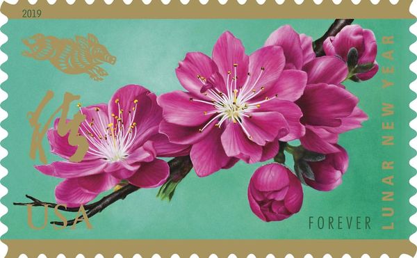 12 Years of Vibrant Lunar New Year Stamps from the US Postal Service