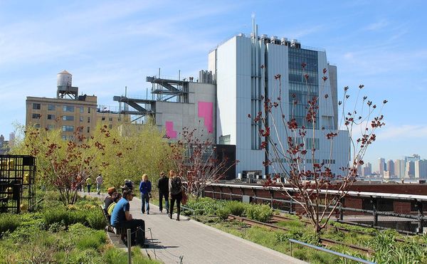 Whitney Museum Announces 2019 Biennial Participants, But One Artist Withdraws