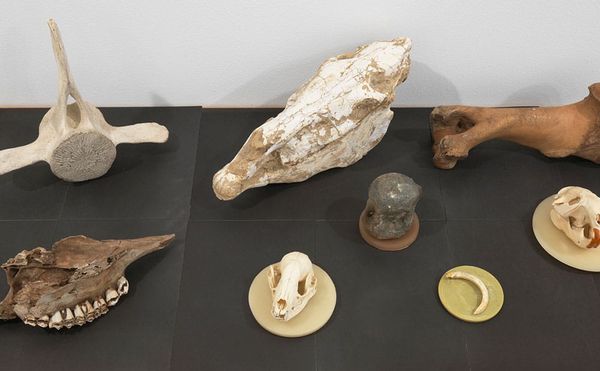 Fragments of the Universe Captured in Dizzying Images