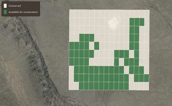 A Painter Helped Create a Website that Allows You to Buy Land and Preserve It