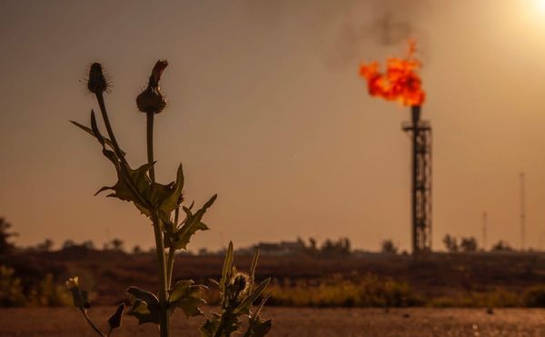 In Response to the British Museum, an Exhibition Demonstrates the High Cost of Iraqi Oil