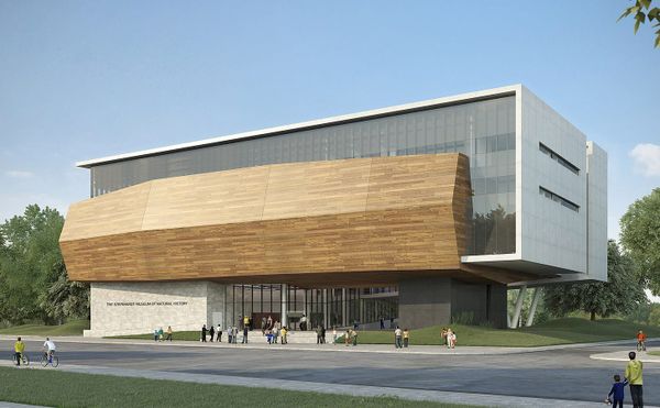 Michael Steinhardt, Major Cultural Philanthropist, Accused of Sexual Harassment By 7 Women