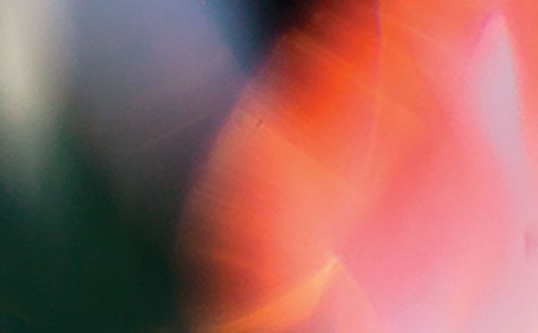 A Palestinian Poet’s Elegiac Musings on Exile and Neurosis