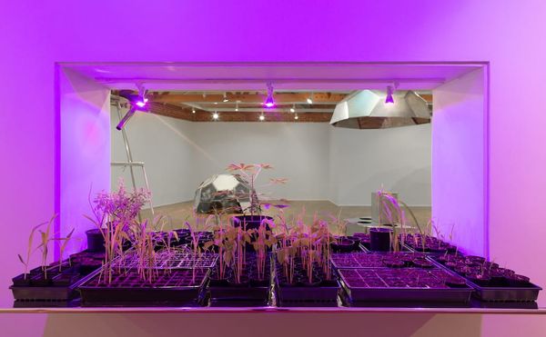 Finding Connections Between a 1960s Artist Commune and an Ancient Mayan Community