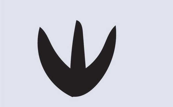 Conversations Between Writers of the Vietnamese Diaspora