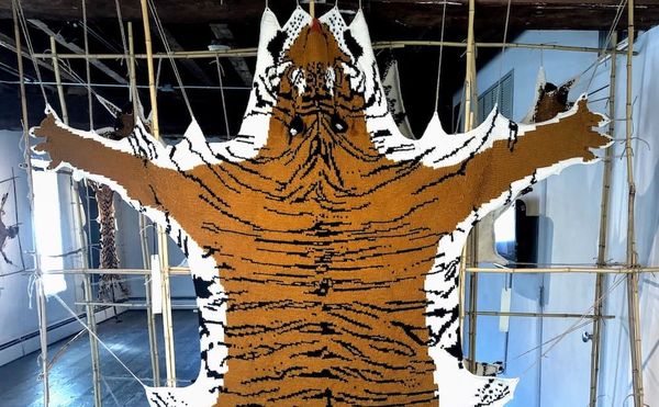 Knitted Works of Endangered Animals that Inspire Warmth and Empathy