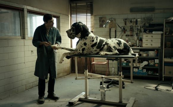 The Tender Turns of the Crime Drama Dogman
