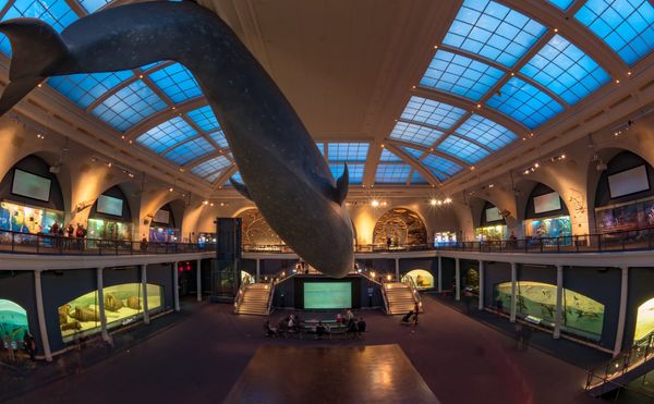 American Museum of Natural History “Deeply Concerned” Gala In Its Hall Will Honor Brazil’s Far-Right President