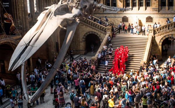 Climate Activists Staged a Die-In at London’s Natural History Museum