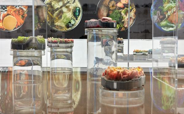 Blueprints for Our Future Planet as It Moves Toward Extinction