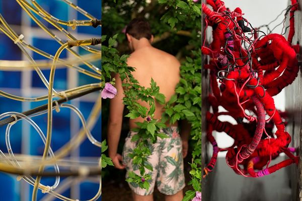 Massachusetts College of Art and Design Takes Its 2019 MFA Thesis Exhibition to MASS MoCA