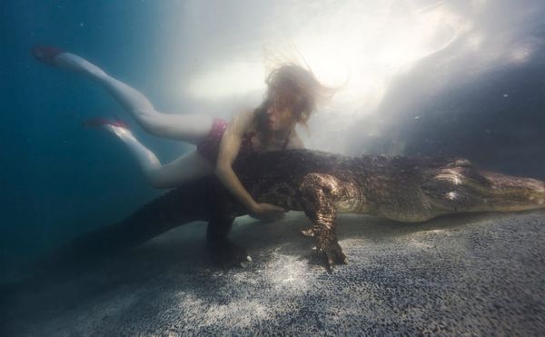 At Union Studio, Artists Engage in Serious Play Around Notions of Ecology