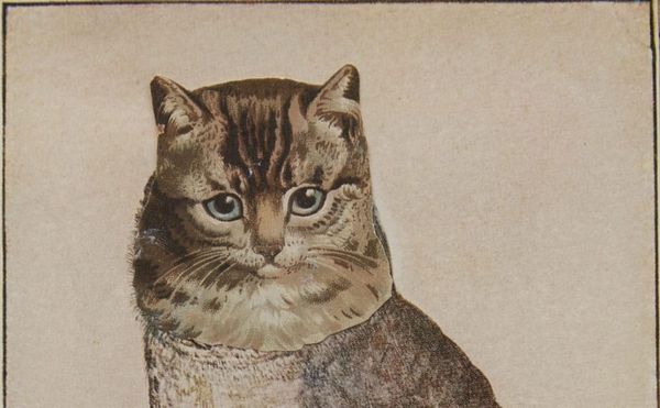 Minor Master or Master of the Minor?