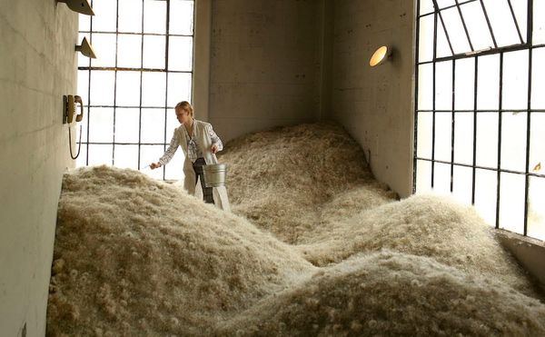 A Factory that Processes Your Dandelion Wishes