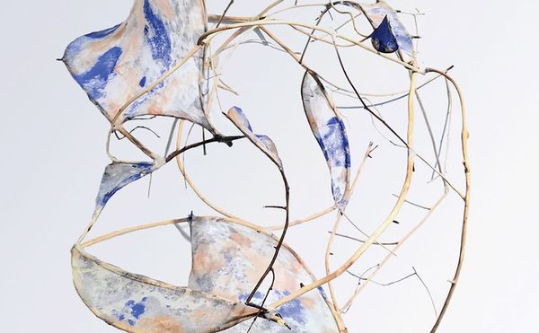 A Poet's Exploration of Austerity