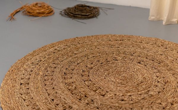 Developing a Collective Language of Resistance Across the Centuries