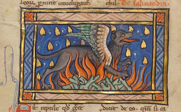 Interpreting the Beasts of the Middle Ages